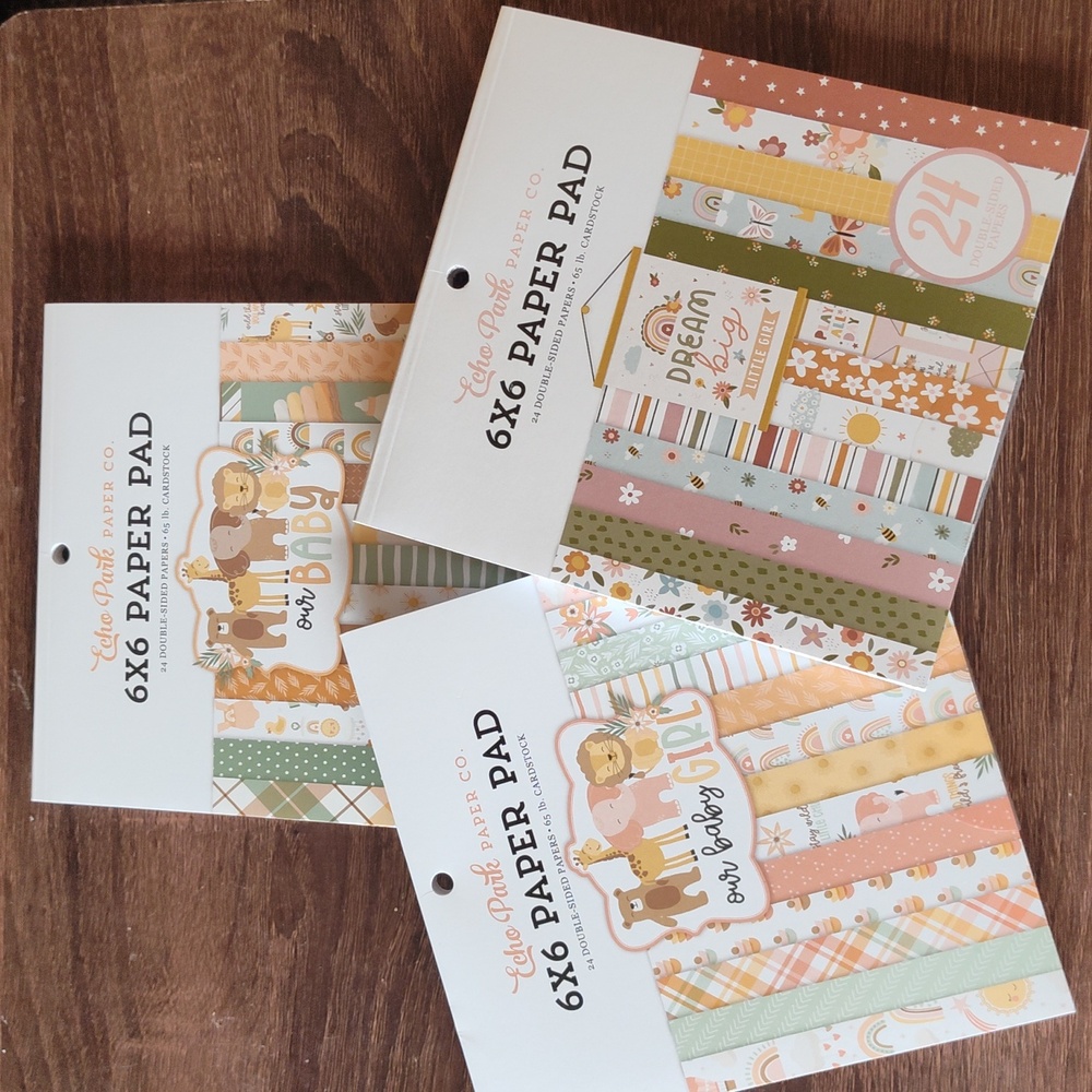 Brand New Echo Park 6x6 Baby Girl Paper Pads